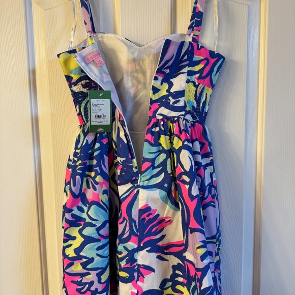 NEW WITH TAGS- Lilly Pulitzer Christine dress size 00 - Picture 4 of 7
